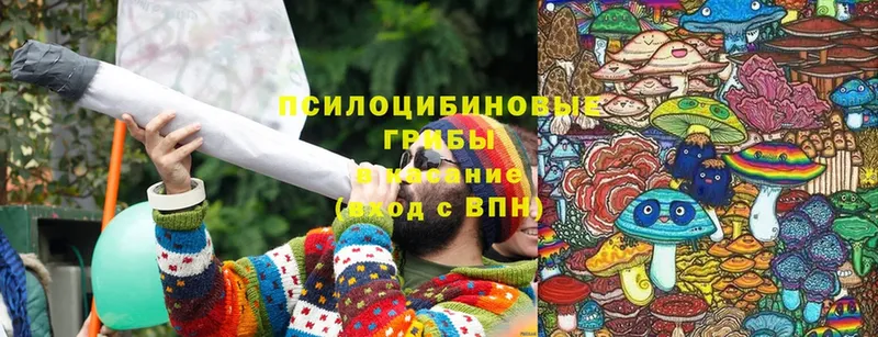 Галлюциногенные грибы Psilocybine cubensis  OMG сайт  Амурск 